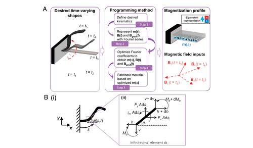 Shape-programmable magnetic soft matter
