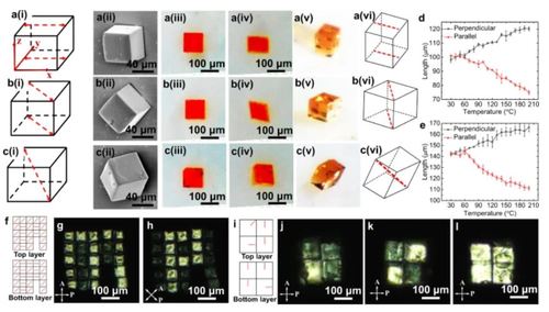 Shape-programmable liquid crystal elastomer structures with arbitrary three-dimensional director fields and geometries