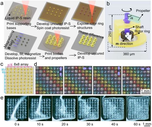 Creating three-dimensional magnetic functional microdevices via molding-integrated direct laser writing