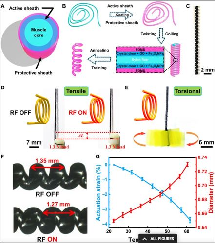 Miniature coiled artificial muscle for wireless soft medical devices