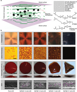 Liquid crystal elastomer-based magnetic composite films for reconfigurable shape-morphing soft miniature machines