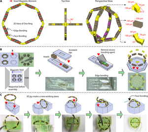 Voxelated three-dimensional miniature magnetic soft machines via multimaterial heterogeneous assembly