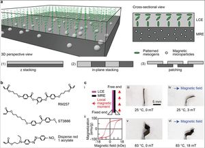 Wirelessly actuated thermo‐and magneto‐responsive soft bimorph materials with programmable shape‐morphing