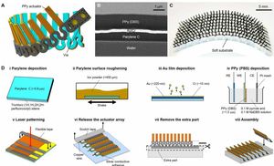 Soft-robotic ciliated epidermis for reconfigurable coordinated fluid manipulation